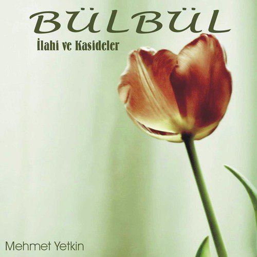 İlahi cover art