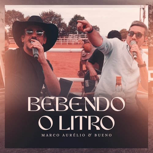 Bebendo O Litro (Ao Vivo)_poster_image