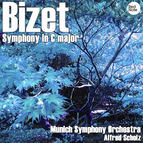 Bizet: Symphony in C major_poster_image