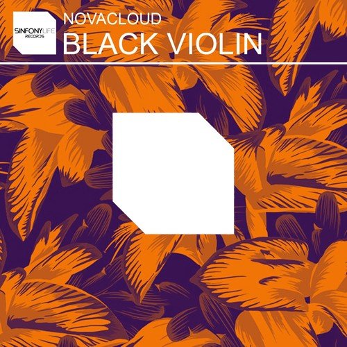 Black Violin