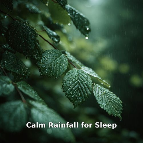 Oddly Comforting Rainfall, Pt.21 cover art