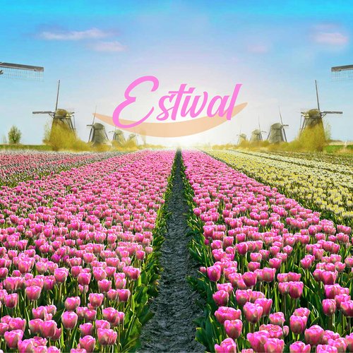 Estival_poster_image