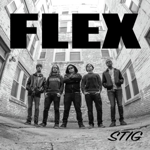 Flex_poster_image