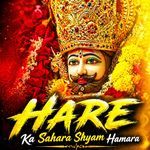 Shyam Naresh artwork