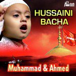 Hussaini Bacha