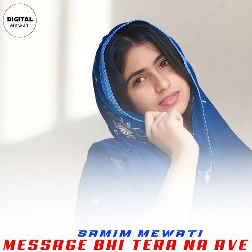 MESSAGE BHI TERA NA AVE