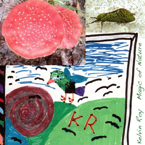 Puriri Moth (Instrumental) cover art