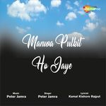 Manwa Pulkit Ho Jaye