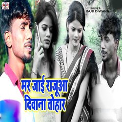 Mar Jai Rajua Deewana Tohar-NyMKU0dHRlc