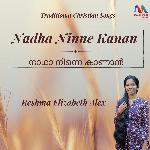 Nadha Ninne Kanan - Single