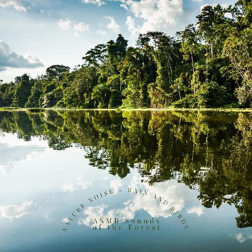 ASMR Jungle Sounds cover art
