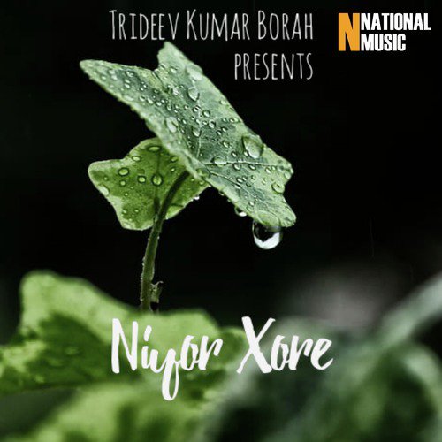 Niyor Xore - Single