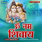 Om Namah Shivay