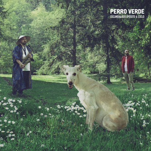 PERRO VERDE_poster_image