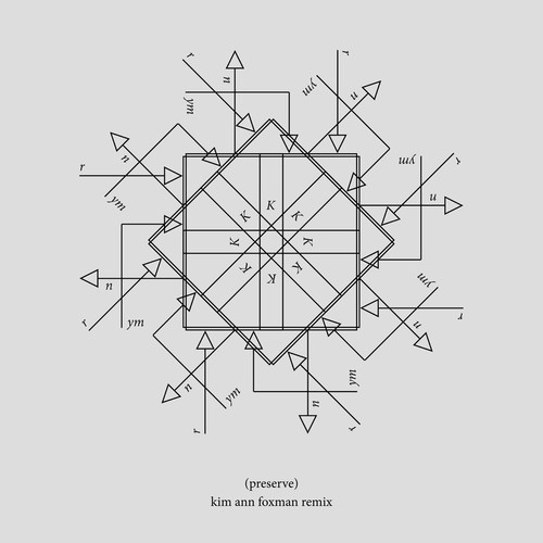 Preserve (Kim Ann Foxman Remix) cover art