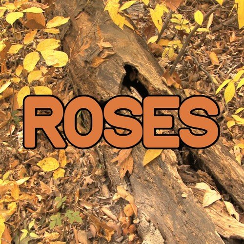 Roses - Tribute to The Chainsmokers (Instrumental Version)