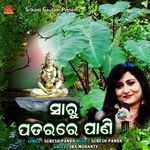 Saru Patarare Pani