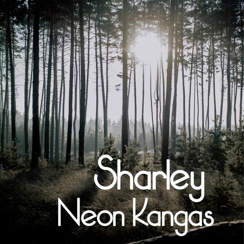 Vicky cover art