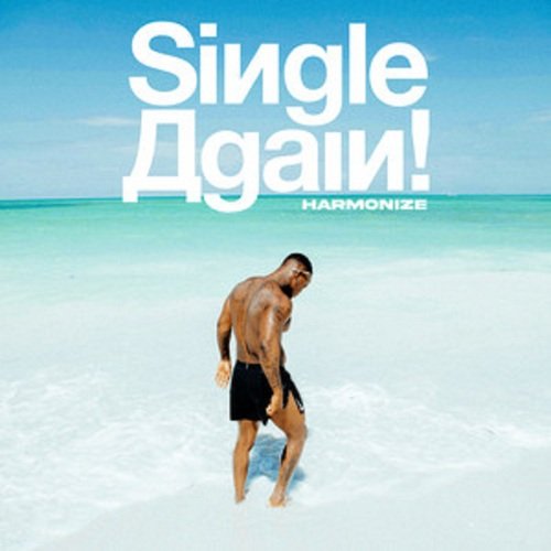 Single Again_poster_image