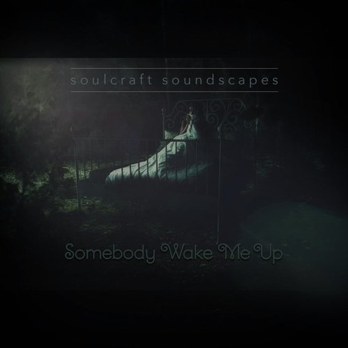 Somebody Wake Me Up (feat. Kaytlyn Cate & The David Samuel Project) cover art