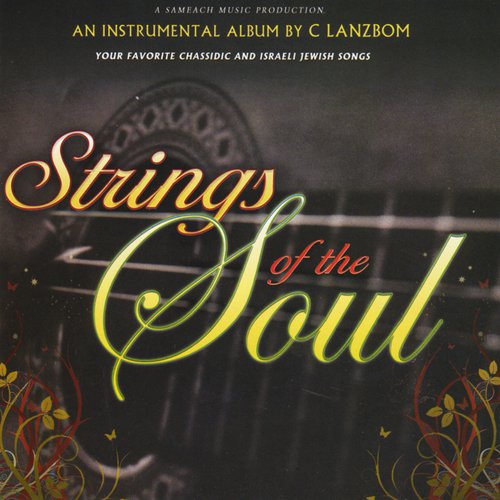 Strings of the Soul_poster_image