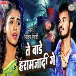 Te Bare Haramjadi Ge