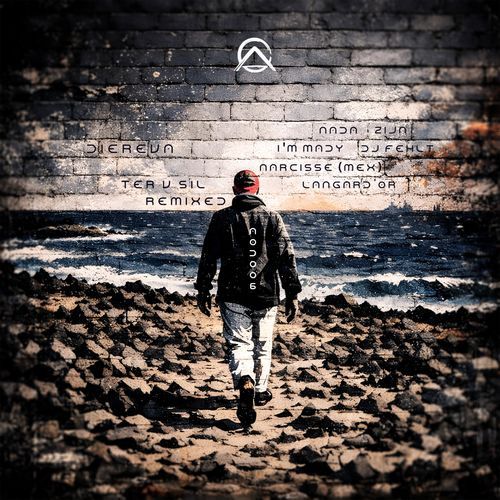 Li Tam (DJ Fehlt Remix) cover art