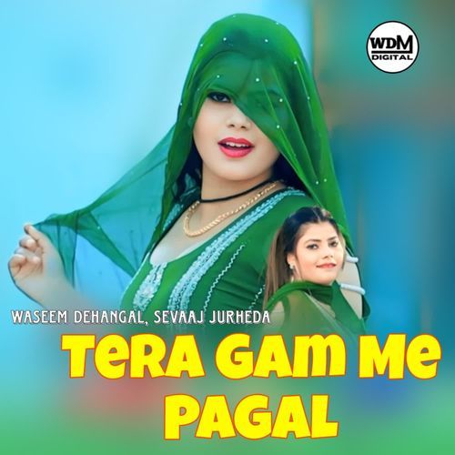 Tera Gam Me Pagal