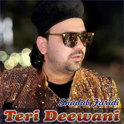 Teri Deewani