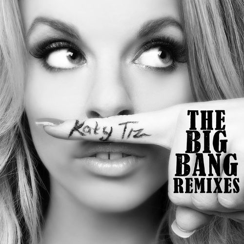 The Big Bang Remixes_poster_image