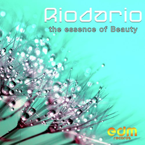 The Essence Of Beauty