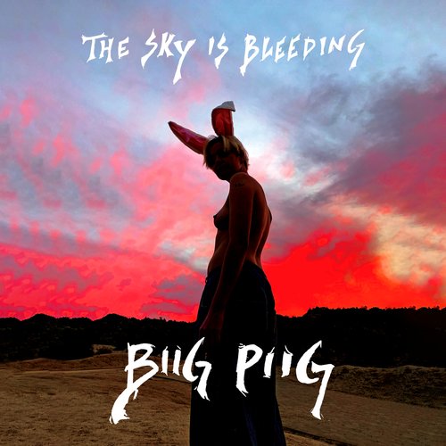 The Sky Is Bleeding_poster_image