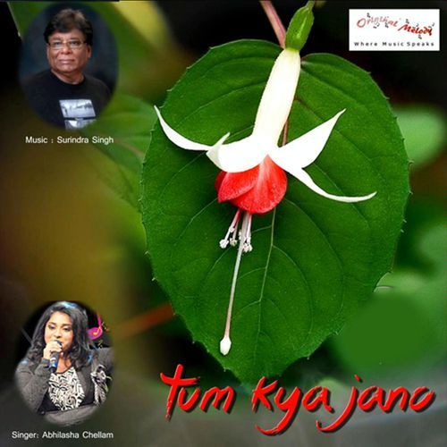Tum Kya Jaano