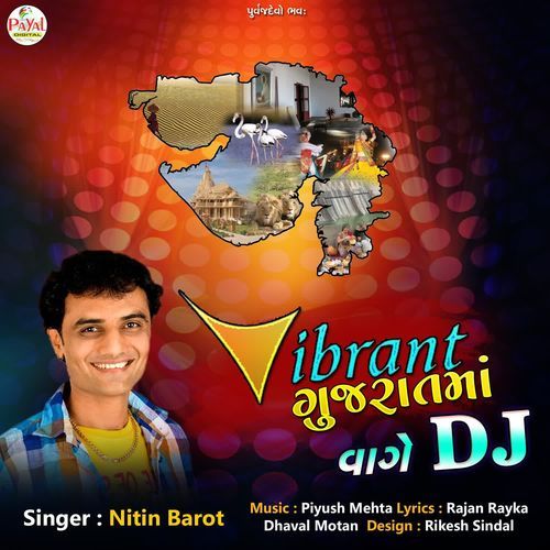 Vibrant Gujaratma Vage Dj cover art