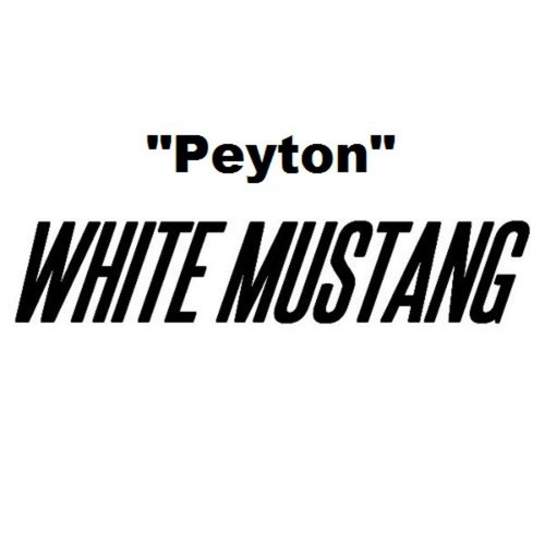 White Mustang_poster_image