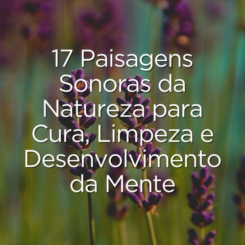 17 Paisagens Sonoras da Natureza para Cura, Limpeza e Desenvolvimento da Mente