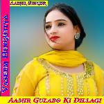 Aamir Gulabo Ki Dillagi