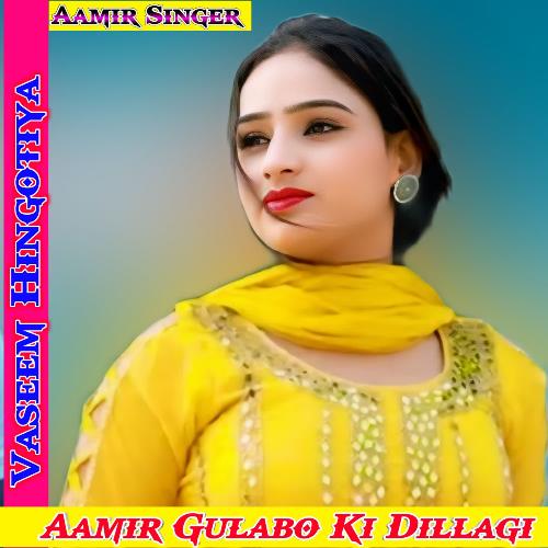 Aamir Gulabo Ki Dillagi