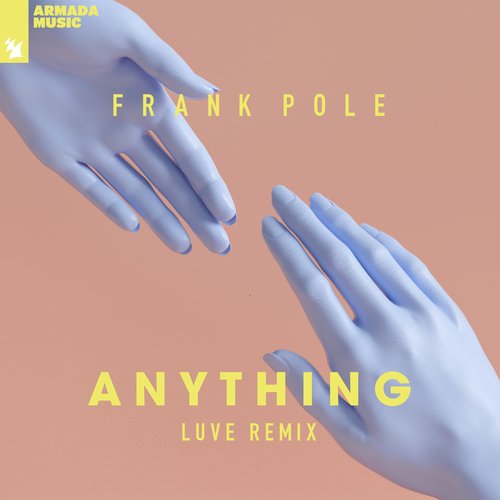 Anything (LUVE Remix)