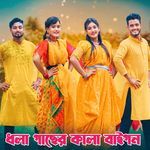 ধলা গাছের কালা বাইগন