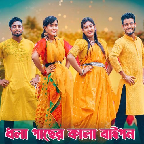 ধলা গাছের কালা বাইগন