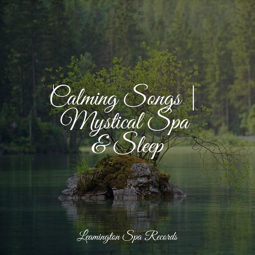 Calming Songs | Mystical Spa &amp; Sleep_poster_image