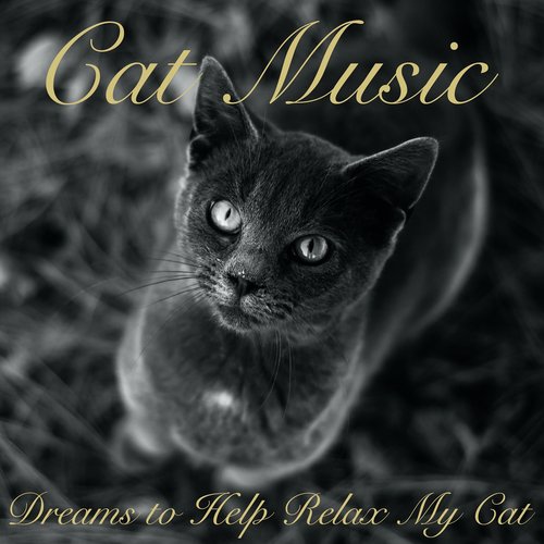 Cat Music Dreams to Help Relax My Cat