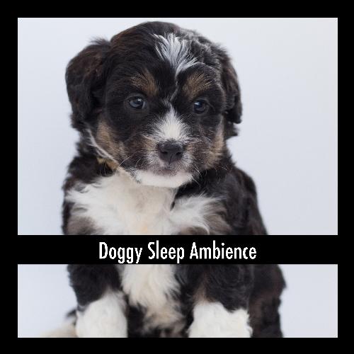 Exact Puppy Soothing Stress Buster cover art