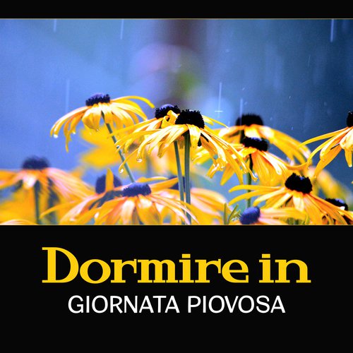 Armonia benessere cover art
