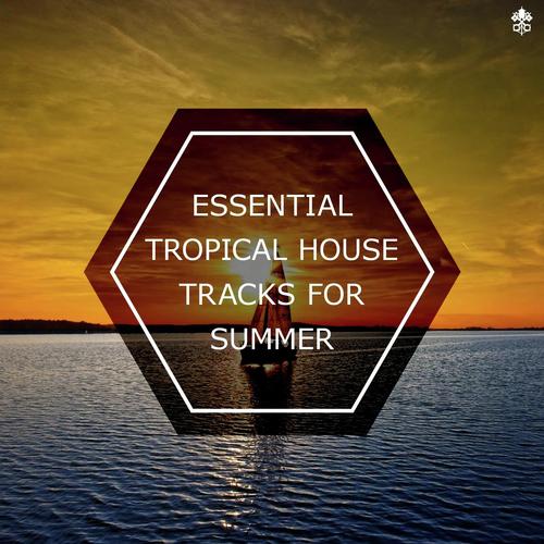 Essential Tropical House Tracks for Summer_poster_image