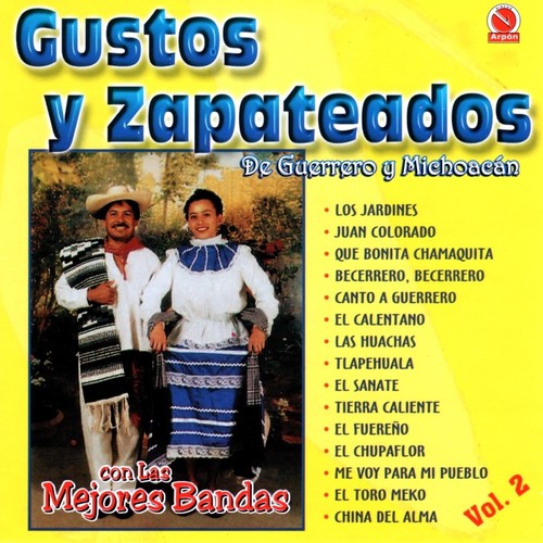 Gustos y Zapateados, Vol. 2 (De Guerrero y Michoacán) [Con las Mejores Bandas]_poster_image