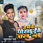 Hamke Dhokha Deke Chal Jaibu