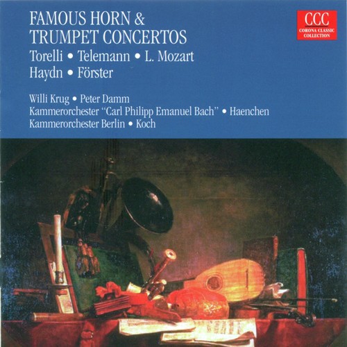 Horn Concerto in D major, TWV 51:D8