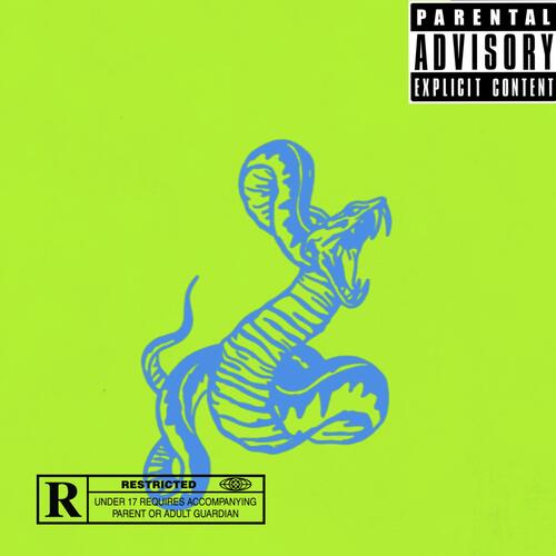 VAMP cover art